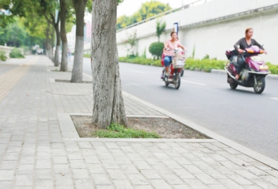  九都路的人行路面鋪設(shè)了透水磚，存在部分﹃海綿﹄功效。</P>
<P>一組研究數(shù)據(jù)顯示，若每棵樹的樹坑低于路面0.3米，下雨時便可蓄雨水0.432立方米。“下一步，洛陽也 將申報海綿城市造就汲引試點城市，示范區(qū)海綿城市造就汲引對于全市督促海綿城市造就汲引將供給很重要的經(jīng)驗。</P>
<P><B>[現(xiàn)狀]市區(qū)已有部分“海綿”結(jié)構(gòu)</B></P>
<P>這么高峻上，海綿城市會不會離現(xiàn)實很遠？對此，胡斌詮釋說，實在海綿城市的雛形在洛陽已經(jīng)遍地可見，比方新建市區(qū)的人工湖、高空停車場鋪設(shè)的多孔磚、人行道上的透水鋪裝，這些步履方法在滿足市民操作以外，已經(jīng)兼?zhèn)洳糠帧昂＞d”功效。